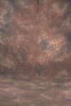 Hand Painted Photo Muslin, Custom Painted, PS227