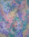 Hand Painted Photo Muslin, Custom Painted, PS485