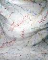 Hand Painted Photo Muslin, Custom Painted, PS505