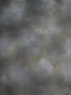 Hand Painted Photo Muslin, Custom Painted, PS806