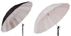 75&#39;&#39; Umbrellas Video Photo