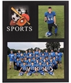 PS-100 All Sports Memory Mate