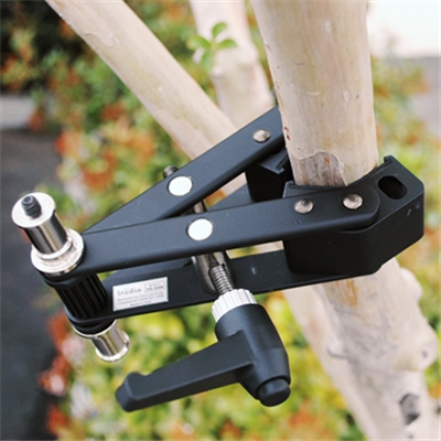 Photo Mounting Clamp