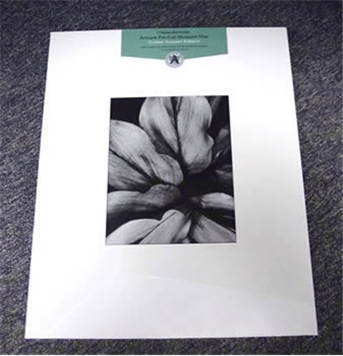 mat 8x10 bainbridge 16x20 opening portrait classic